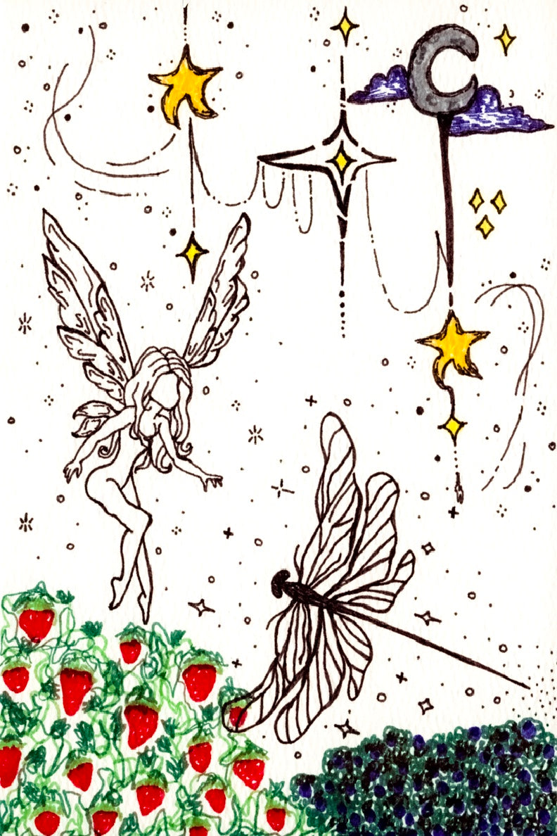 Fairy Garden
